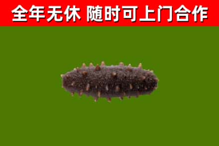甘德县烟酒回收干海参.jpg
